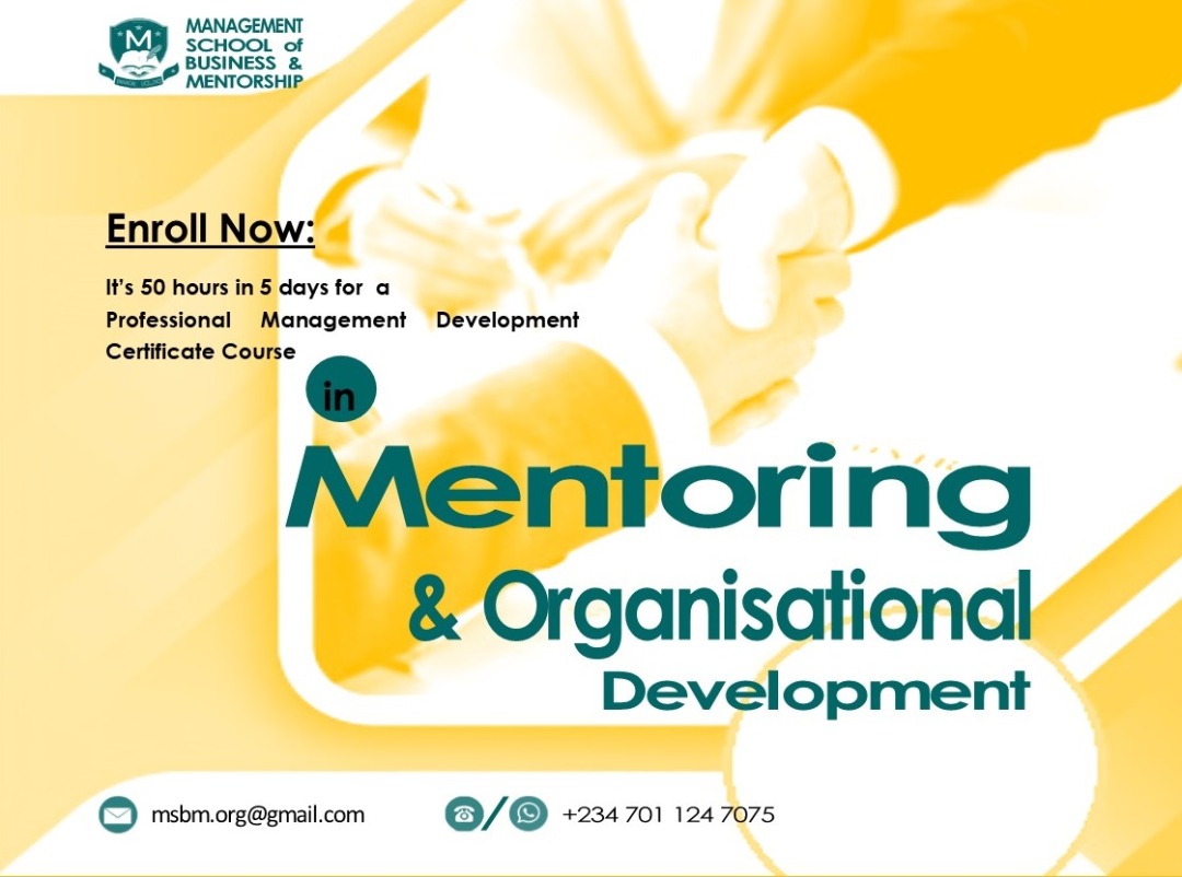 Mentoring & Organisational Development